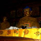 PM09 1001,16040
