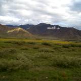 PM09 1001,16770