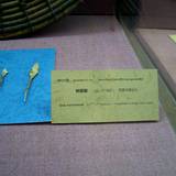 PM09 1001,17428
