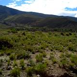 PM09 1001,17194