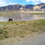 PM09 1001,17163