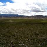 PM09 1001,17115
