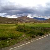 PM09 1001,16219