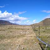 PM09 1001,17317