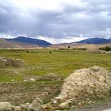 PM09 1001,16232
