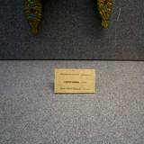 PM09 1001,17877b