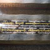 PM09 1001,17600