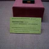 PM09 1001,17450