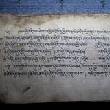 PM09 1001,17542