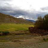 PM09 1001,16215