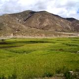 PM09 1001,17079