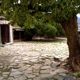 PM09 1001,16807