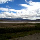 PM09 1001,17098