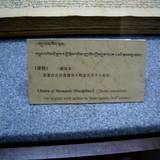 PM09 1001,17820