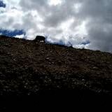 PM09 1001,17364