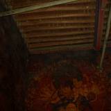 PM09 1001,16941