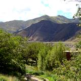 PM09 1001,17303