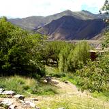 PM09 1001,17302