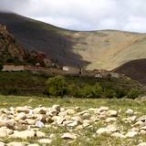 PM09 1001,17068