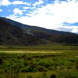 PM09 1001,17190