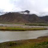 PM09 1001,16780