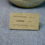 PM09 1001,17765b