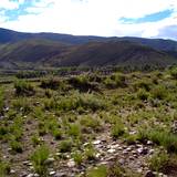 PM09 1001,17193