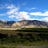 PM09 1001,17170