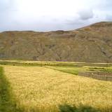 PM09 1001,16243