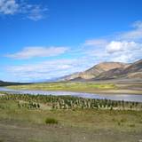 PM09 1001,17174