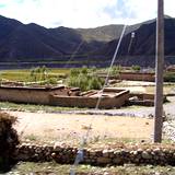 PM09 1001,17344