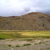 PM09 1001,16244