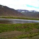 PM09 1001,16778