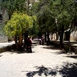 PM09 1001,18010