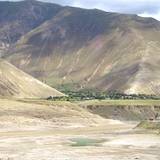 PM09 1001,17381