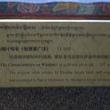 PM09 1001,17603