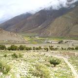 PM09 1001,16798