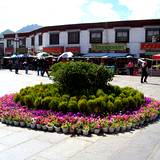 PM09 1001,17948