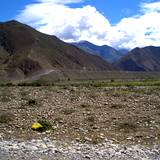 PM09 1001,17351