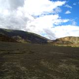 PM09 1001,17124