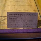 PM09 1001,17513