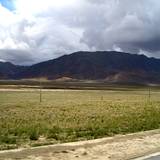 PM09 1001,16155