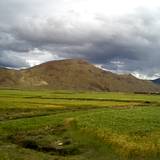 PM09 1001,16228