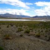 PM09 1001,17108