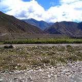 PM09 1001,17354