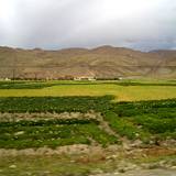 PM09 1001,16237