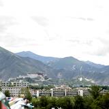 PM09 1000,8006