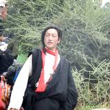 PM09 1000,7631