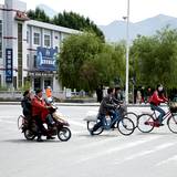 PM09 1000,7814