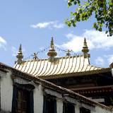PM09 1000,7877